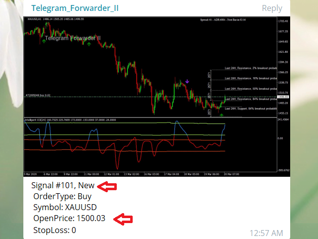 telegram-forwarder-ii-screen-7061